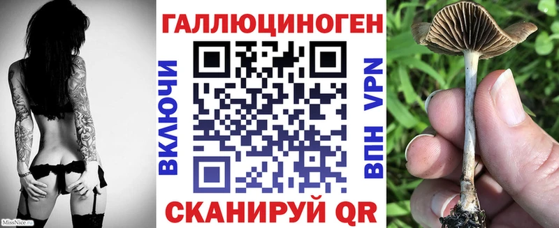продажа наркотиков  Катав-Ивановск  mega как войти  Псилоцибиновые грибы мухоморы 